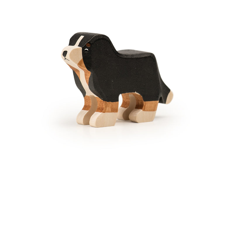 Trauffer Bernersennenhund mittel